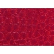 Телефонная книга Caiman, EngRed, 125х203 мм, 112 стр., с вырубкой, ламинация алфавита Телефонная книга Caiman, EngRed, 125х203 мм, 112 стр., с вырубкой, ламинация алфавита