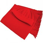 Комплект флисовый "Winter": шарф и шапка; красный; шарф: 150х30 см, шапка: 58 см, плотность 230 гр/м2; флис Комплект флисовый "Winter": шарф и шапка; красный; шарф: 150х30 см, шапка: 58 см, плотность 230 гр/м2; флис